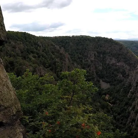 Ruhezeit - Inclusive Pool & Sauna * Bad Harzburg