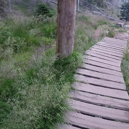 Ruhezeit - Inclusive Pool&sauna Bad Harzburg